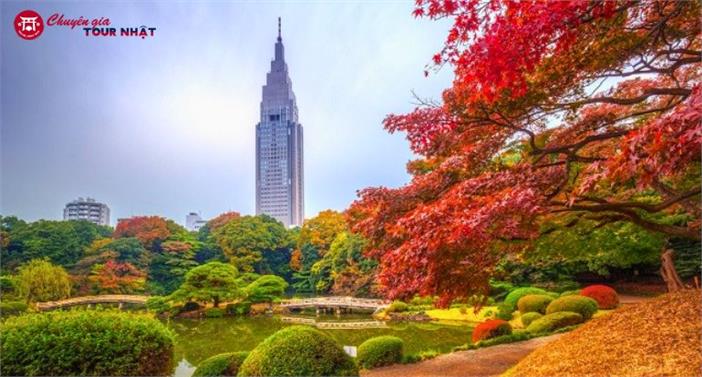 [HCM] Tour Nhật Bản Cung Đường Romantic Mùa Thu 6N5Đ